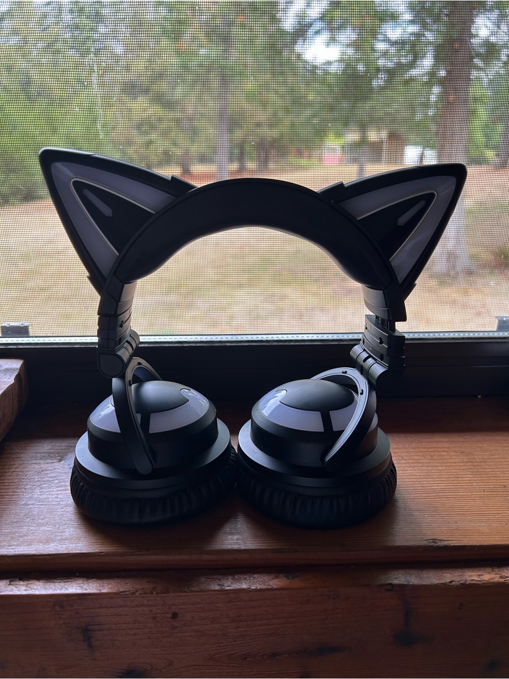 Wireless Colour Changing Cat Ear Headphones - Black